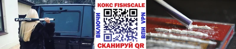 КОКАИН FishScale  купить наркотик  Каргат 