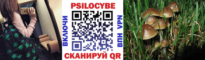 как найти закладки Каргат Галлюциногенные грибы прущие грибы
